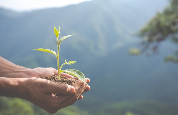 impacto medioambiental instalaciones fotovoltaicas